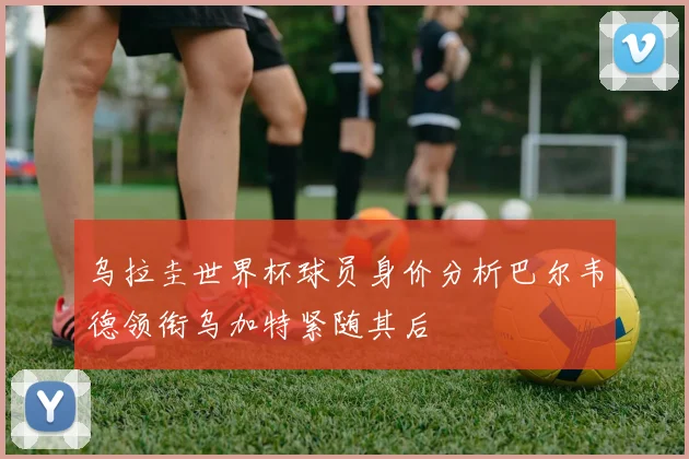 乌拉圭世界杯球员身价分析巴尔韦德领衔乌加特紧随其后