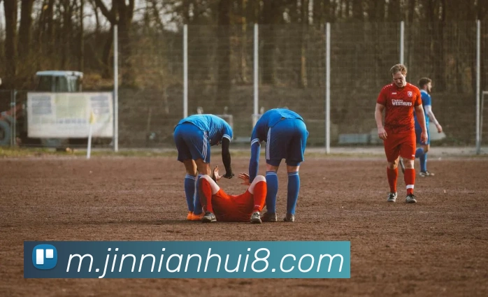 金年会APP 封面图